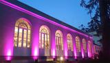 Bettery Powered Lights in Wedding Outdoor