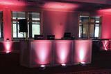 Founder Z6 Battery Light in Weddings 02
