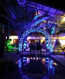 BSW Lights for Wedding Outdoor