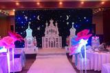 LED Star Curtain Lights for Party 02