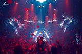 Par Lights Moving Heads in Bars Party 02