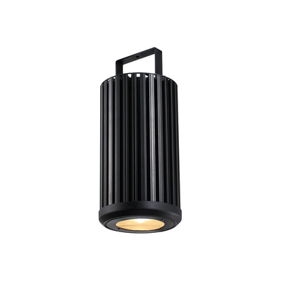 LED Pendant 8C RGBW