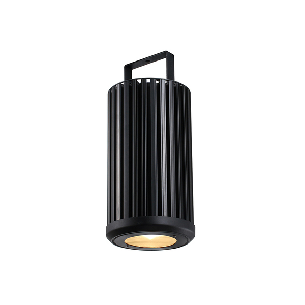 LED Pendant 8C RGBW