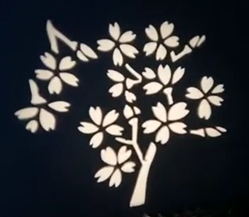 Clear Pattern Imaging